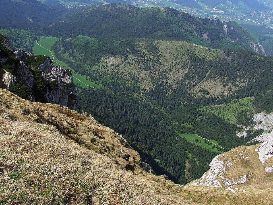Przełęcz w Grzybowcu - Wyżnia Kondracka Przełęcz