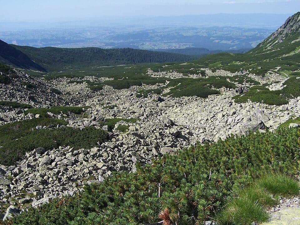 Hala Kopieniec - Psia Trawka