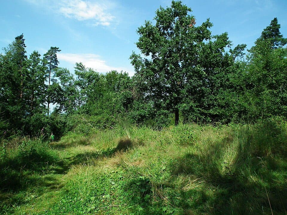 Bania (Rabka) — zdjęcie 3