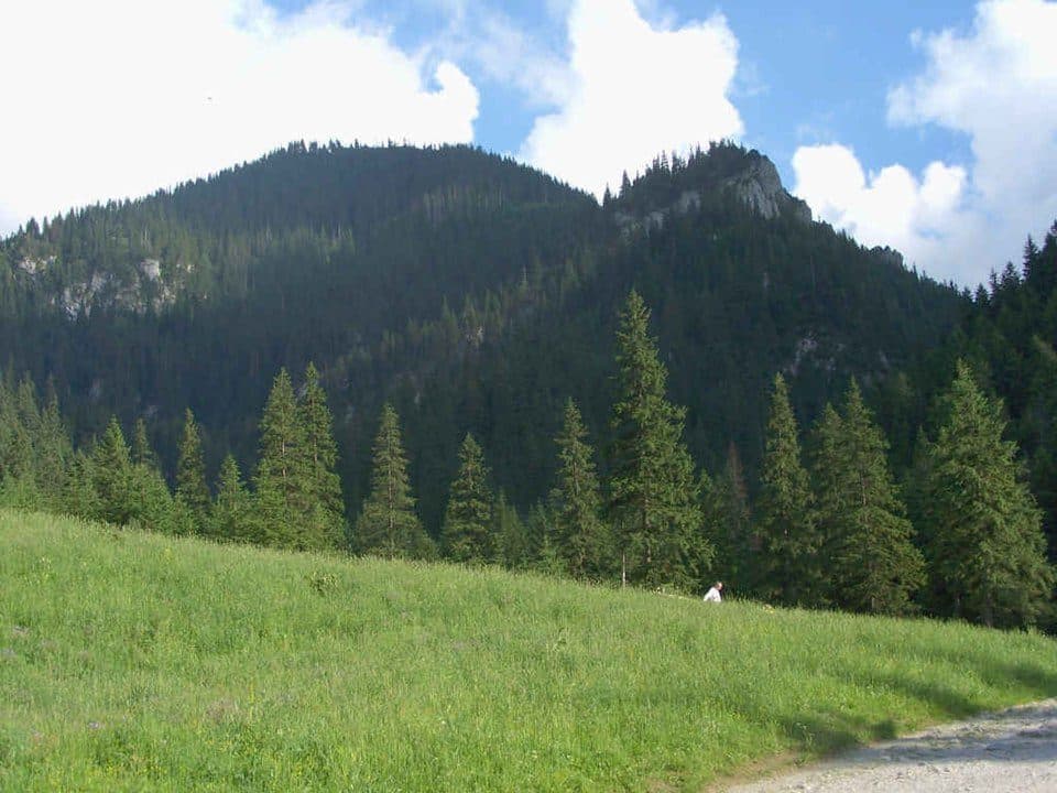 Polana Pisana - Hala Ornak