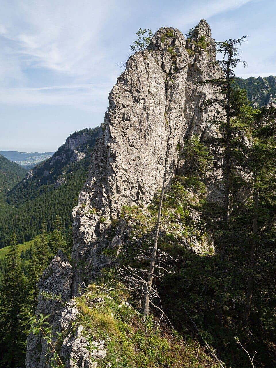 Polana Pisana - Hala Ornak