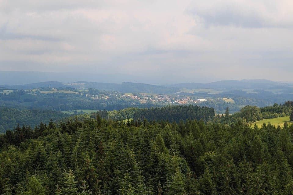 [Z] Nové Město nad Metují - Borová