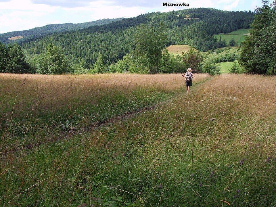 Tymbark - Lubomierz Rzeki