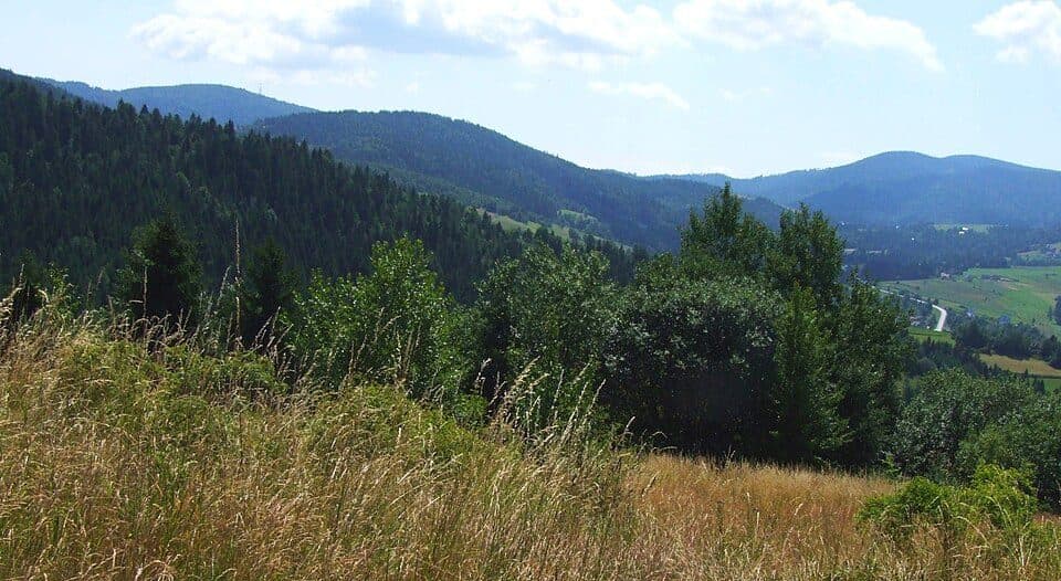 Ścieżka edukacyjna „Dolina Gorcowego Potoku”