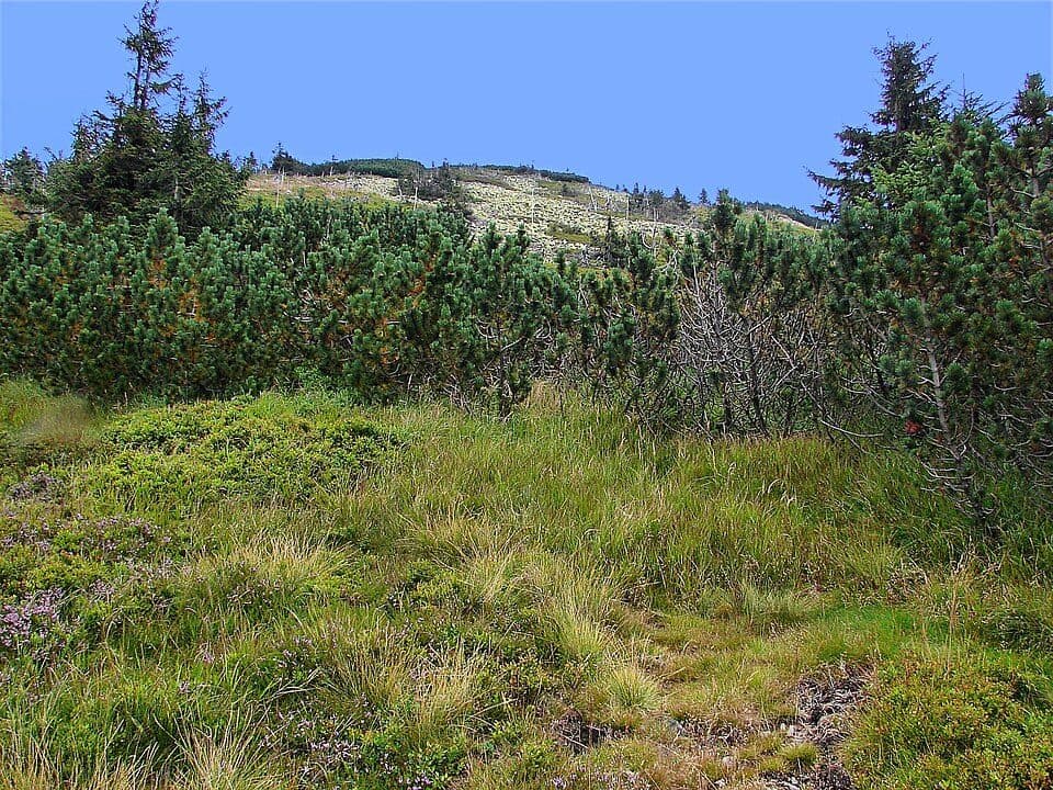 Lysá hora (Karkonosze)