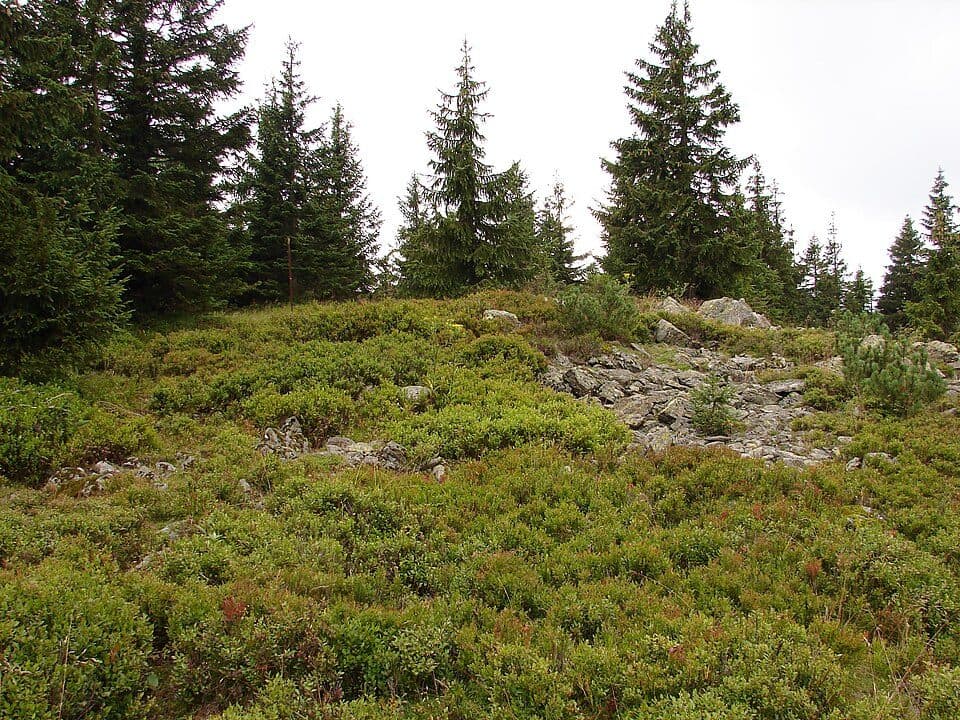 Plešivec (Krkonoše)