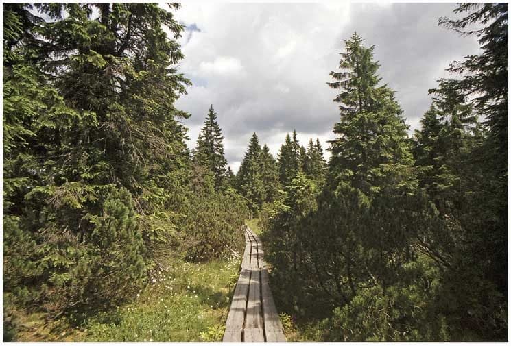 Černá hora (Krkonoše) — fotografie 3