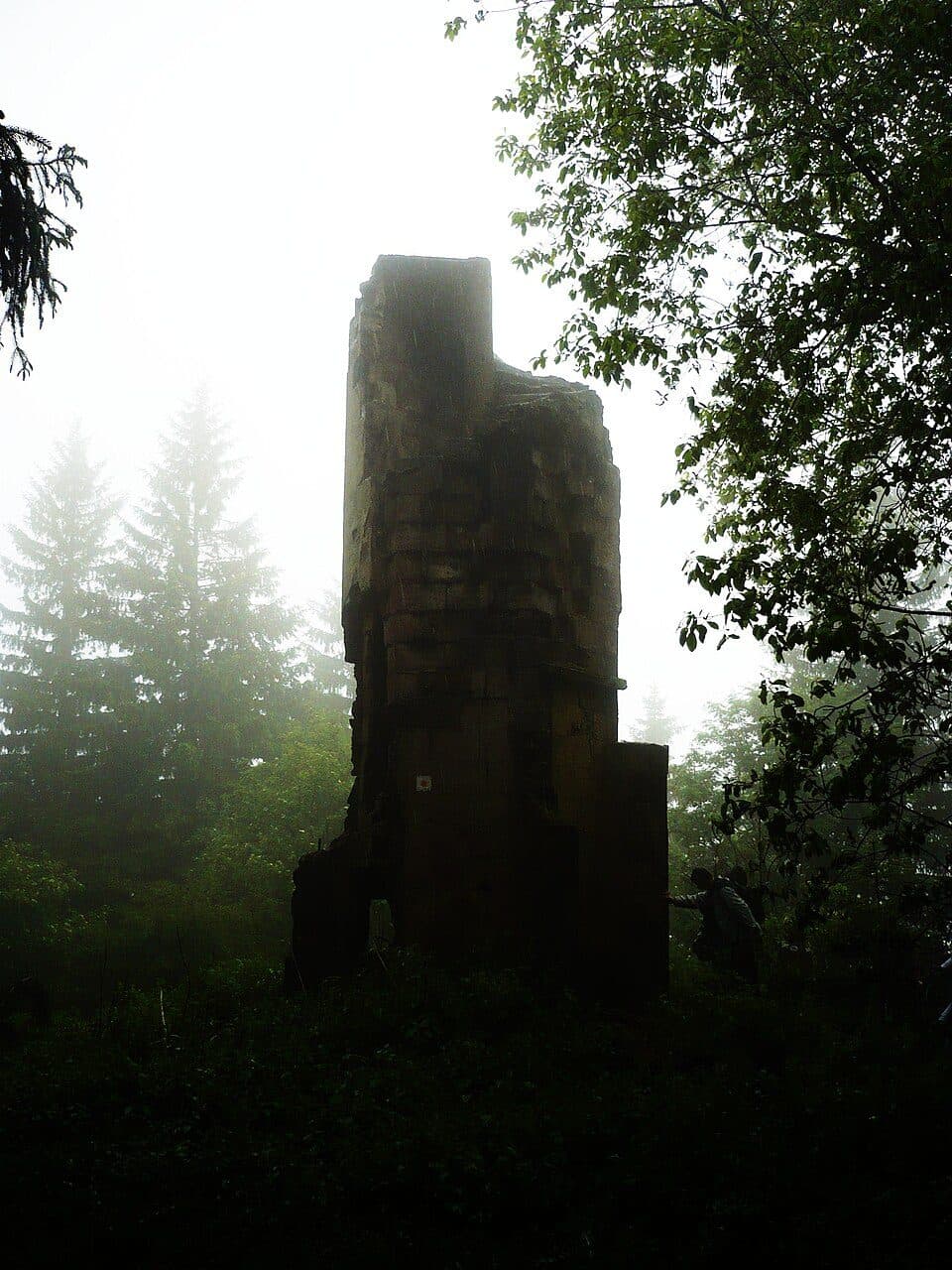 Pętla Nietoperz (12 km)