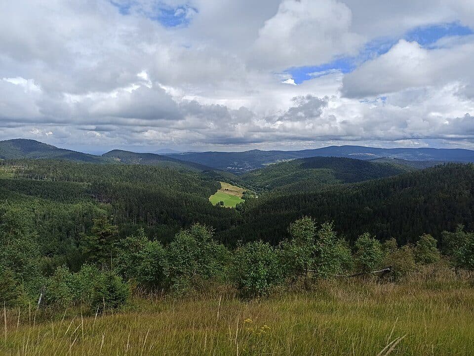 Hřebenovka