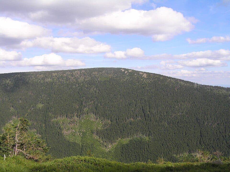 Růžová hora
