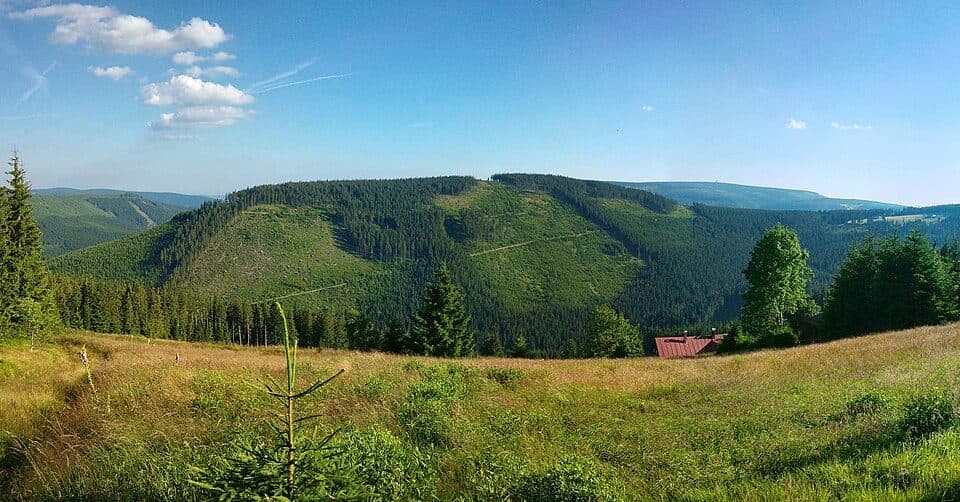 Pinkenberg