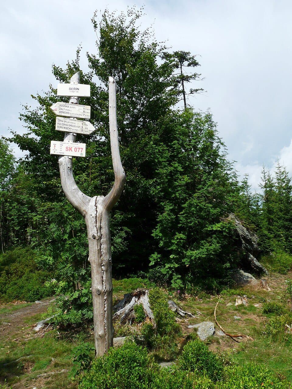 Šeřín