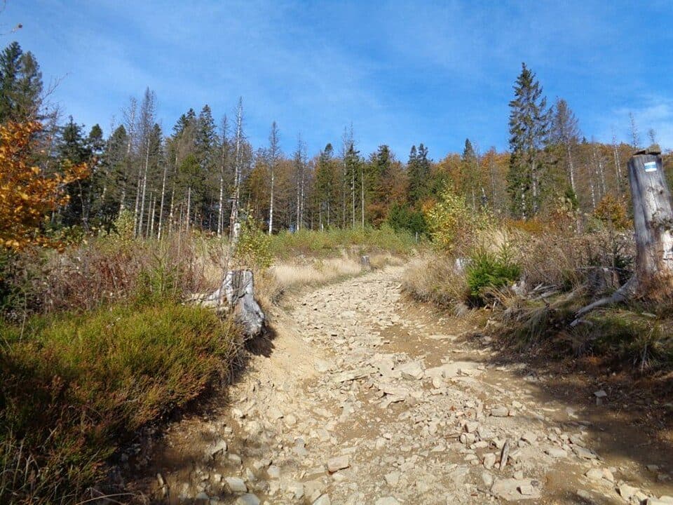 Kyrkawica
