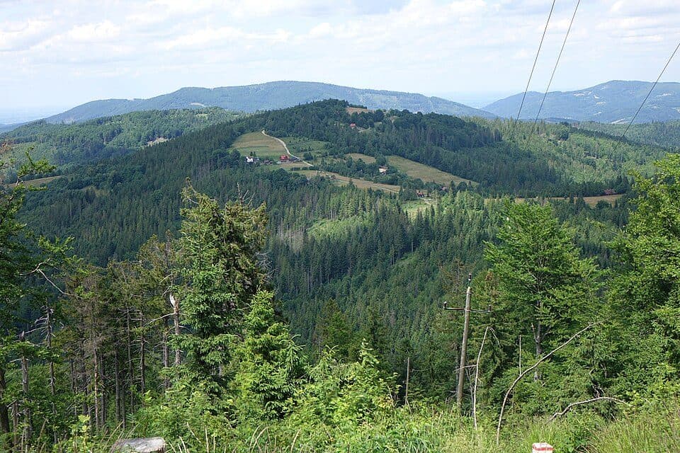 Stożek Mały (Beskid Śląski) — zdjęcie 3
