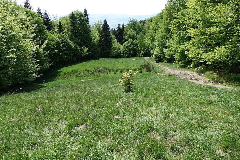 Przysłop (Beskid Mały)