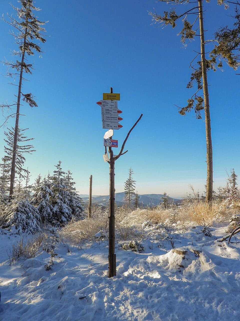 Grabowa (Beskid Śląski)