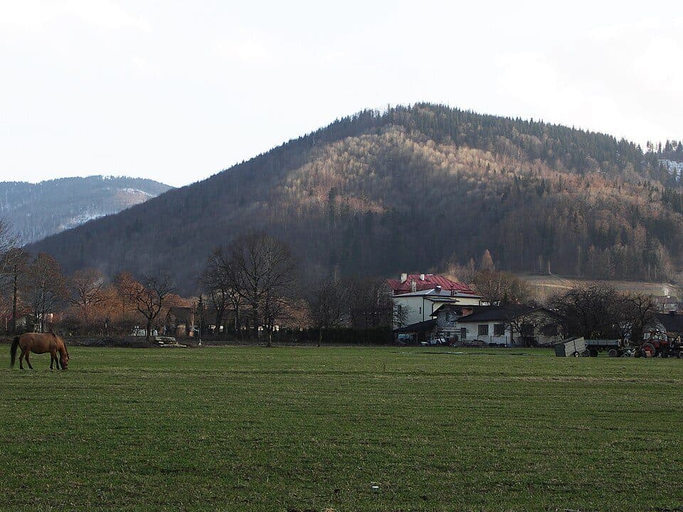 Palenica (688 m) — zdjęcie 3