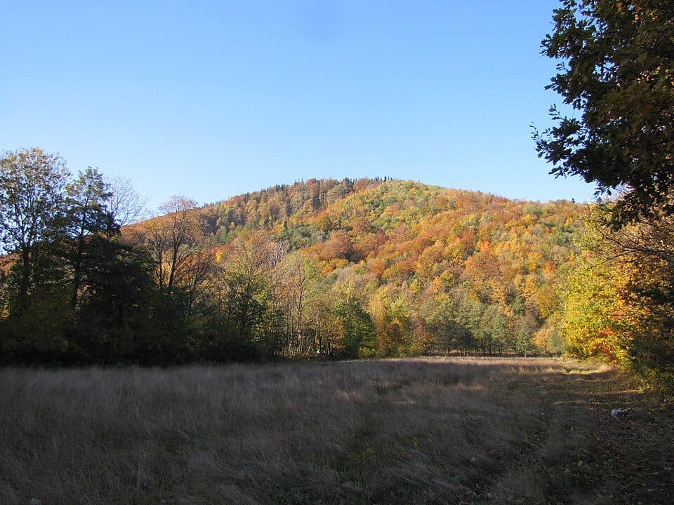 Palenica (688 m)