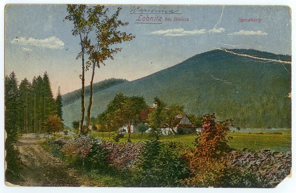 Palenica (688 m) — zdjęcie 2