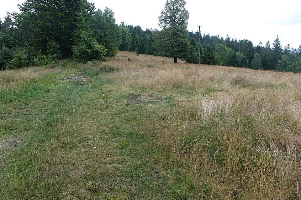 Dobka - Zakrzosek