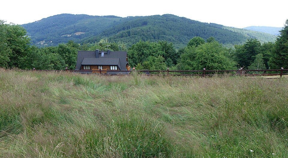 Orłowa (szczyt) — zdjęcie 2