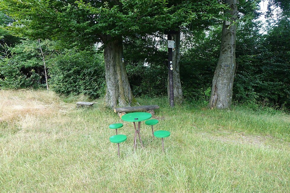 Orłowa (szczyt) — zdjęcie 3