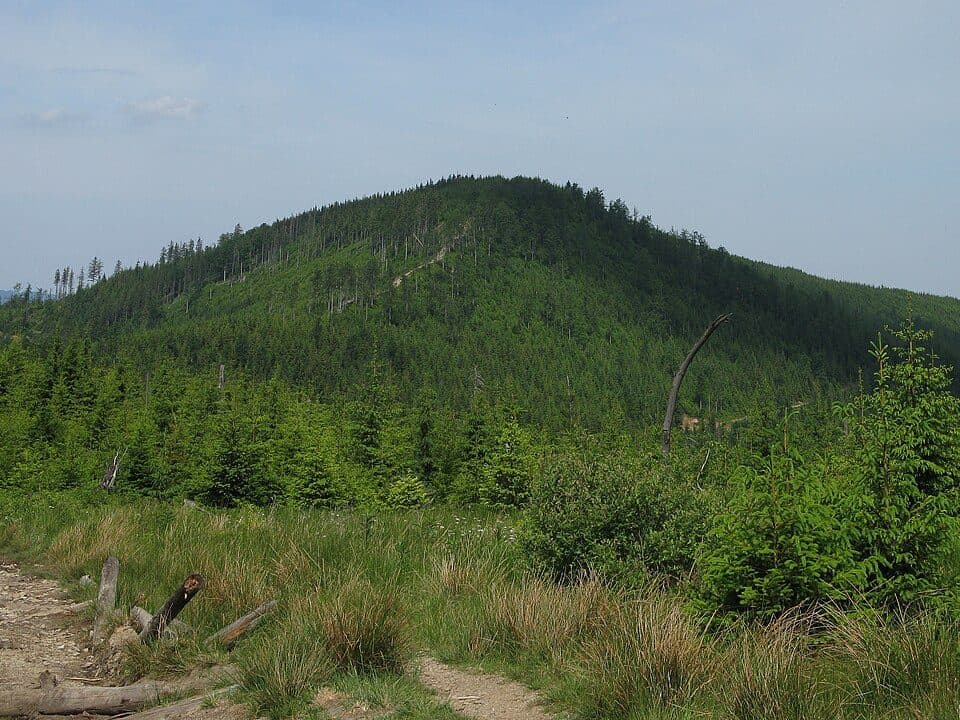Malinów (szczyt)