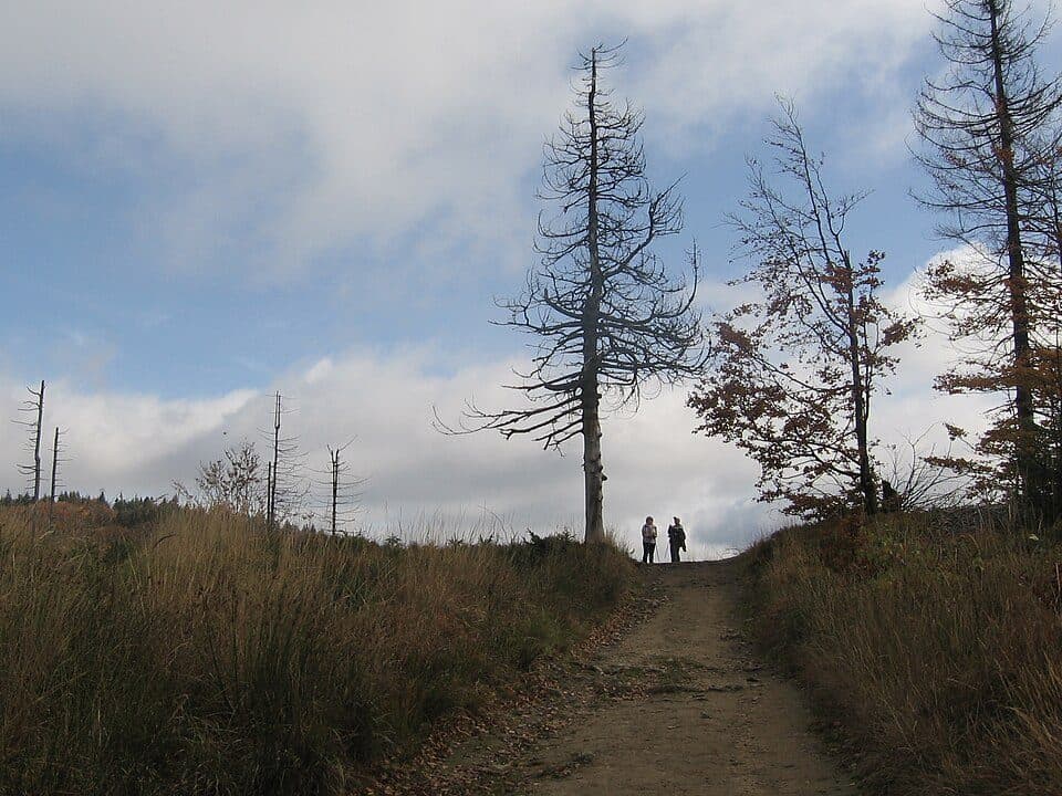 Trzy Kopce (Beskid Śląski) — zdjęcie 2