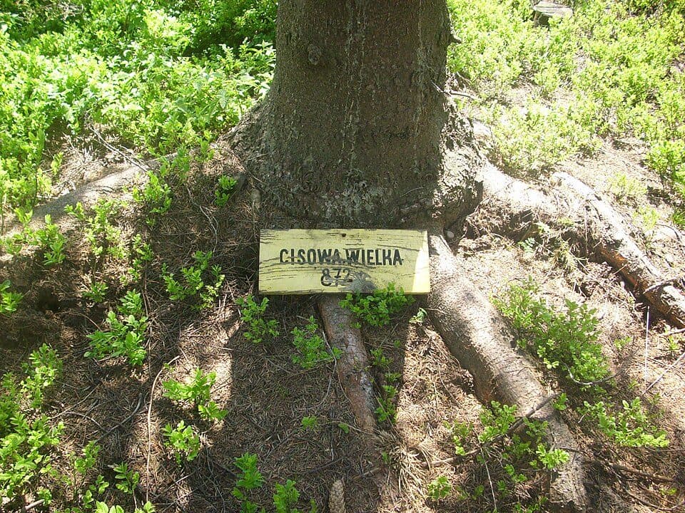 Brenna Centrum - do zielonego szlaku