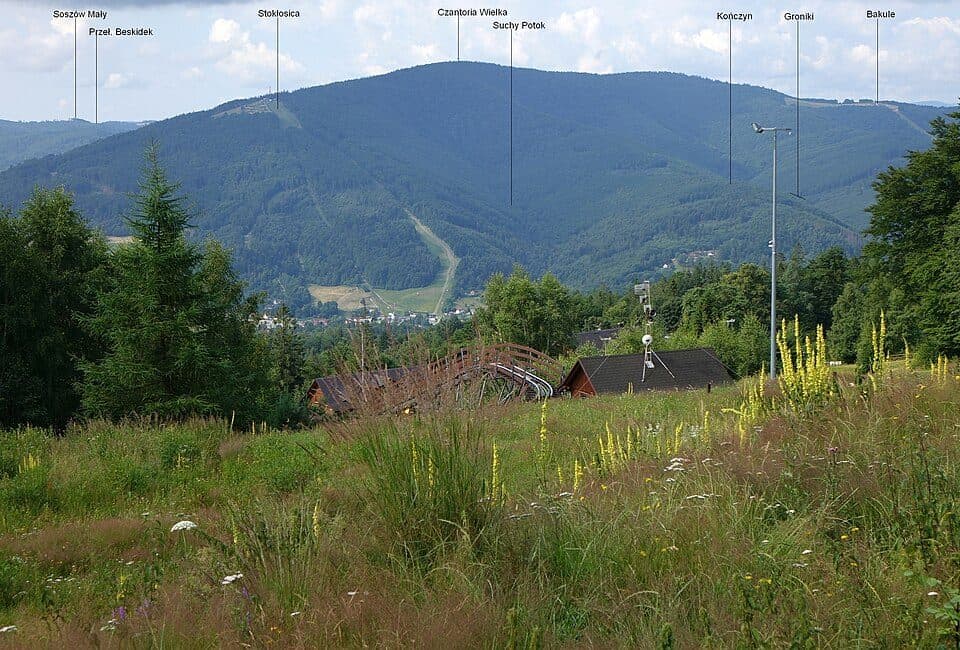 Kończyn