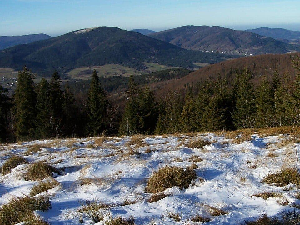 Gruszowiec - Śnieżnica