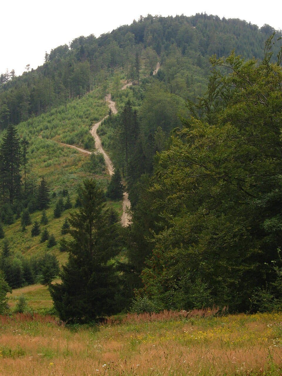 Brenna Centrum - Dolina Hołcyny - Kotarz