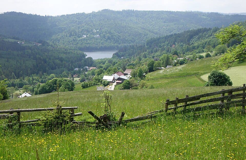 Szarcula (szczyt)