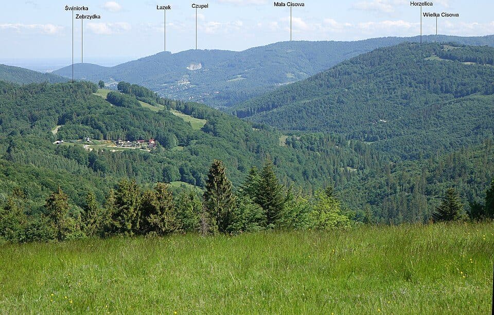 Świniarka (Beskid Śląski)
