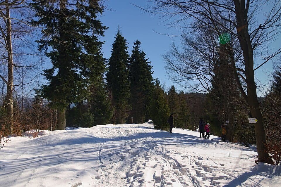Gościejów (szczyt)