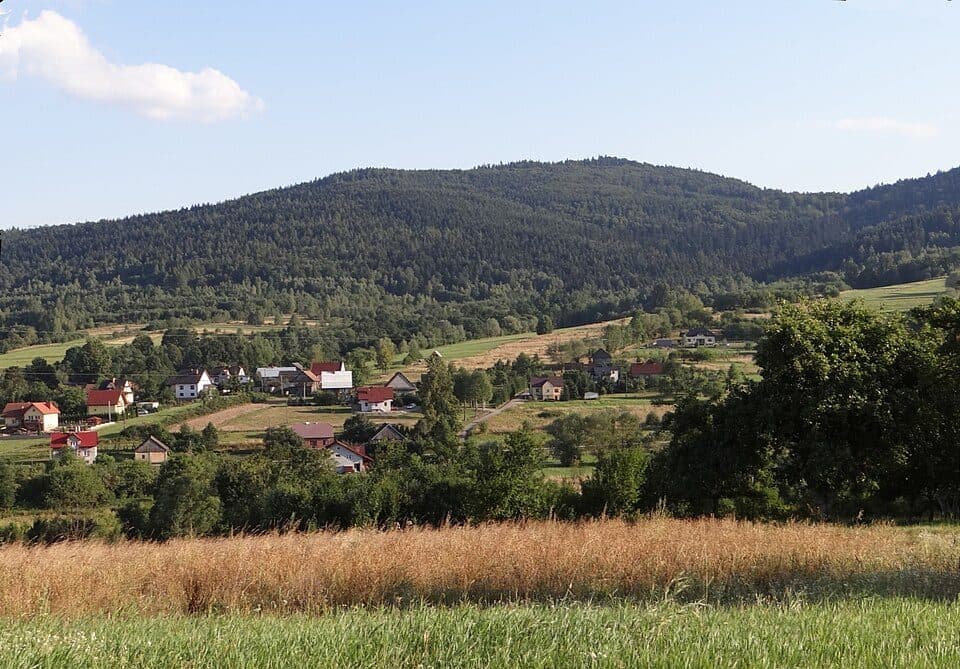 Gołuszkowa
