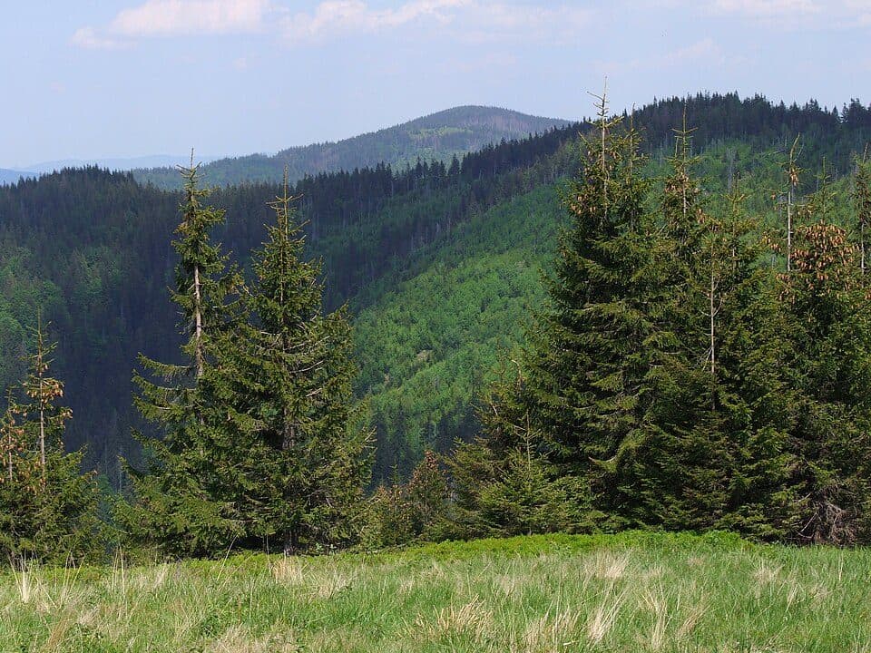 Turbaczyk - Konina - Kudłoń - Lubomierz