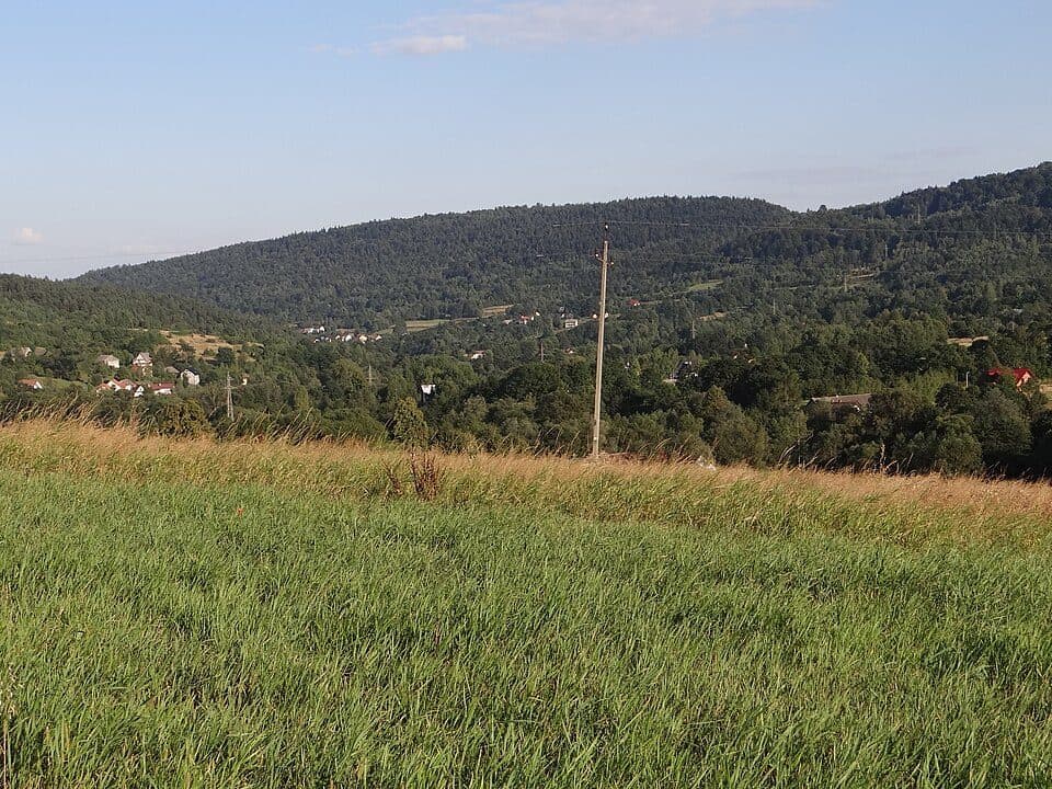 Prorokowa Góra