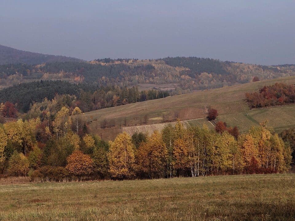 Zamczysko (Beskid Mały)