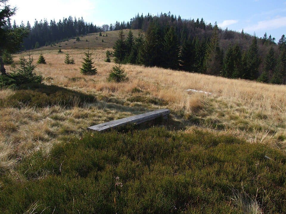 Grywałd - Polana Gabrowska