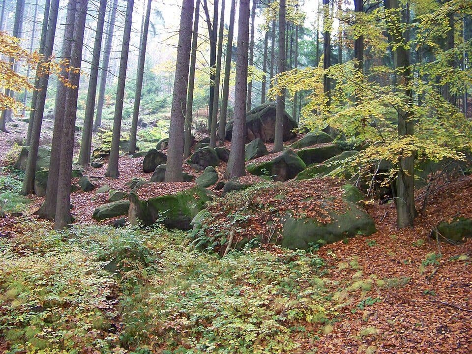 [Ž] Malá Skála (kap.) – Malá Skála (žst)