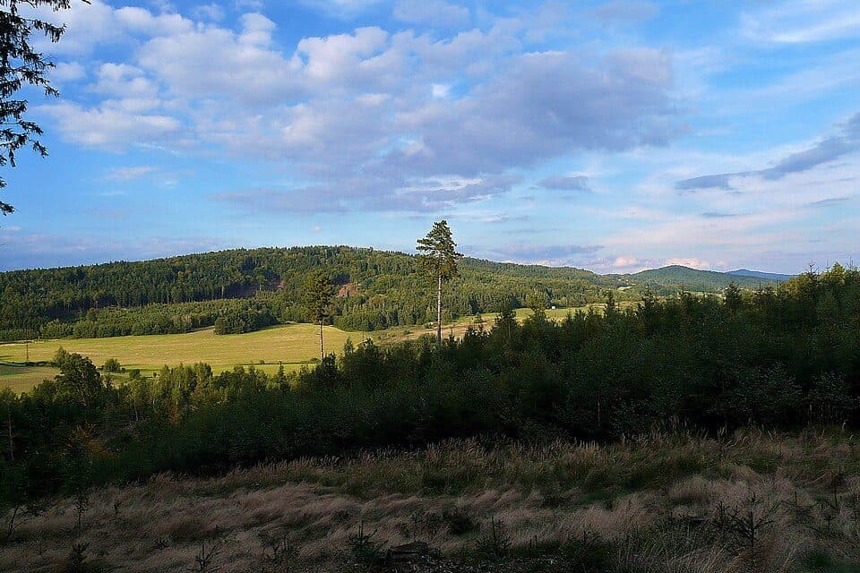 Velká Svinčice