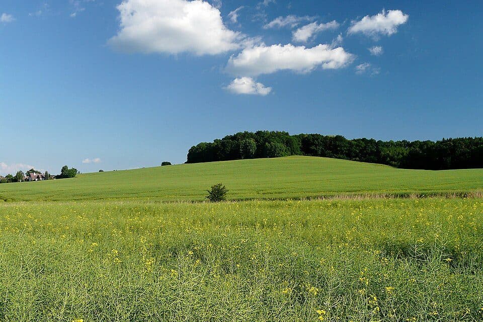 Mladějovská horka