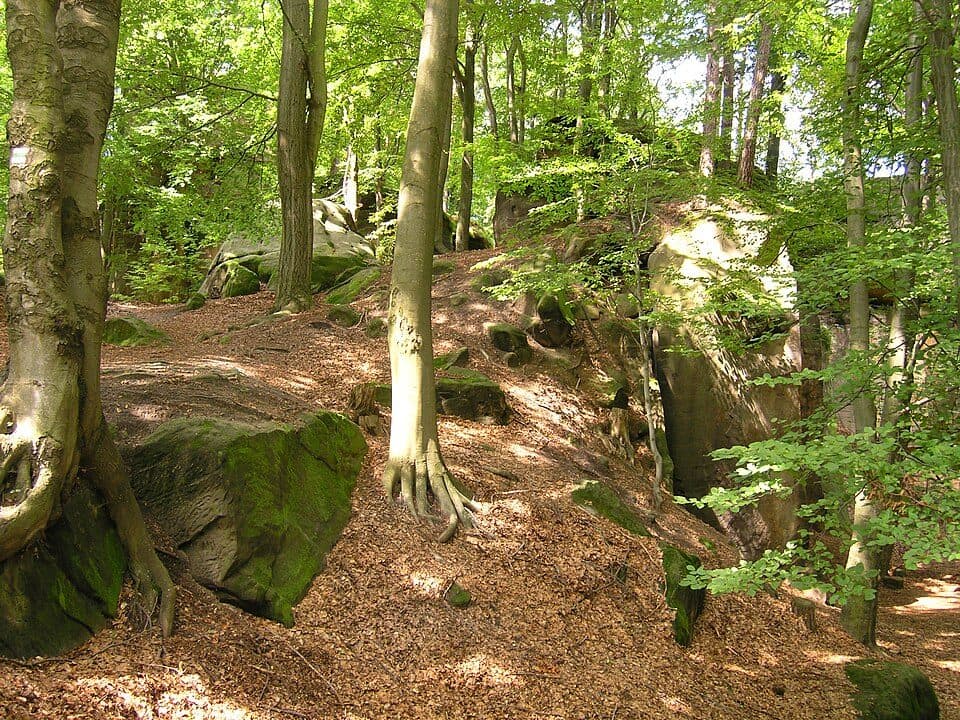 [Č] Turnov, U mostu - Frýdštejn (zříc.)