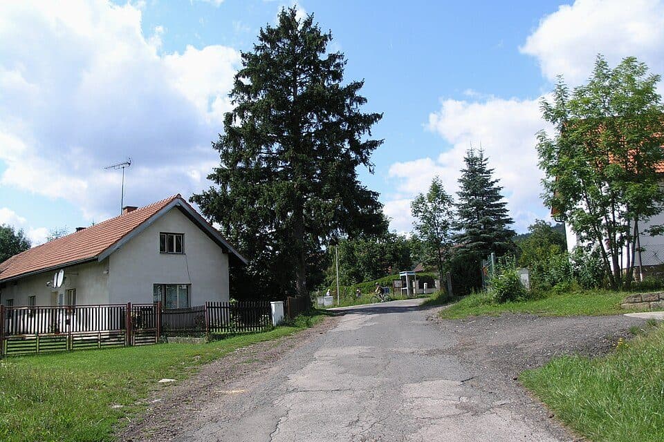 1856