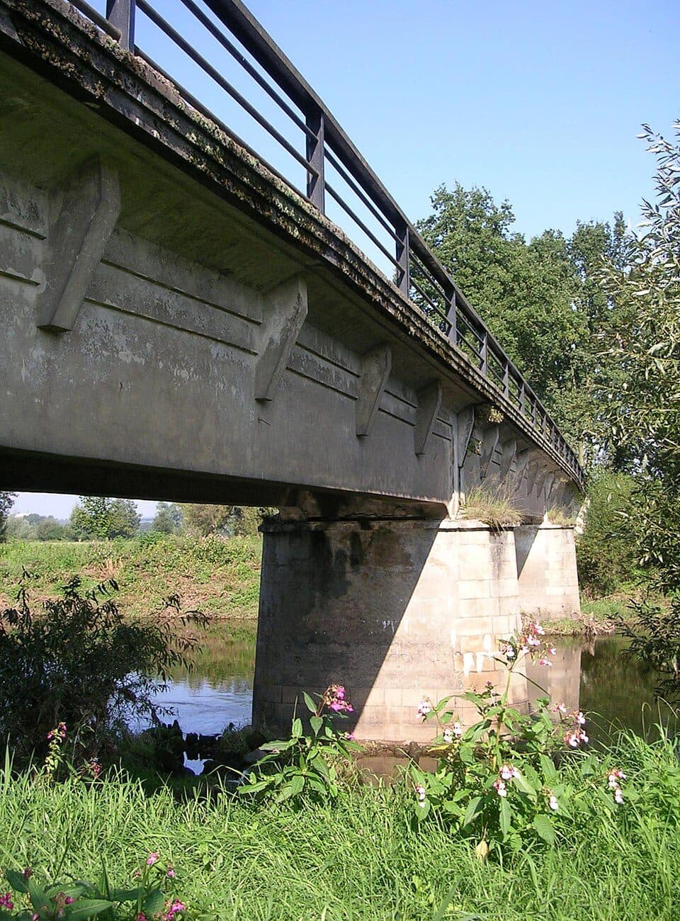 Ploukonice — photo 2