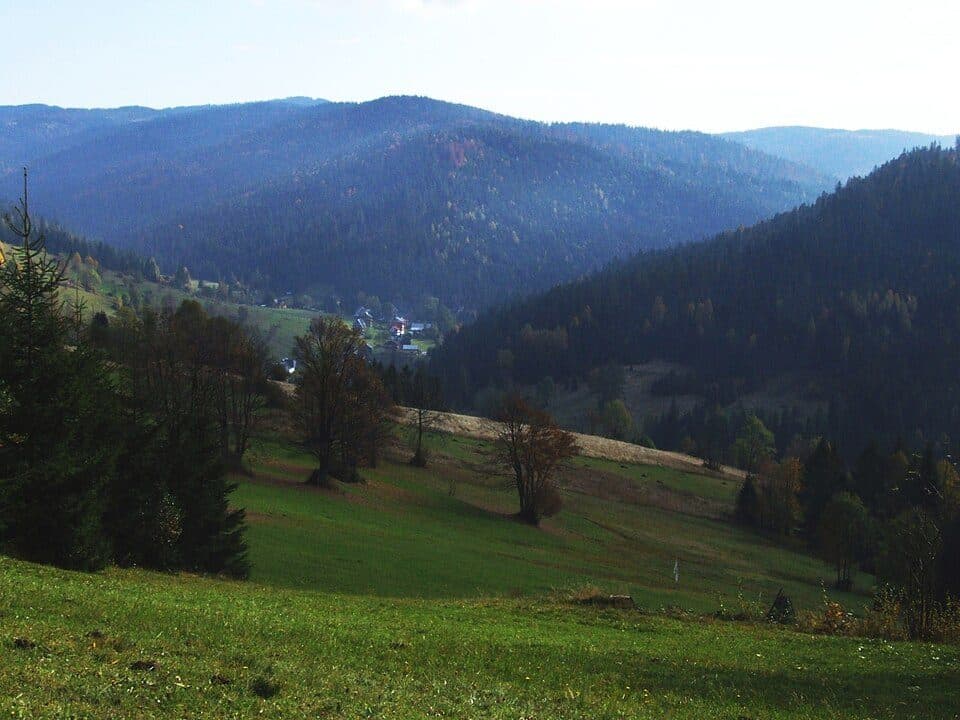 Średni Wierch (Gorce)