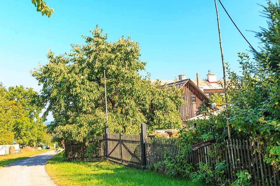 [Č] odbočka ke Smetanově vyhlídce