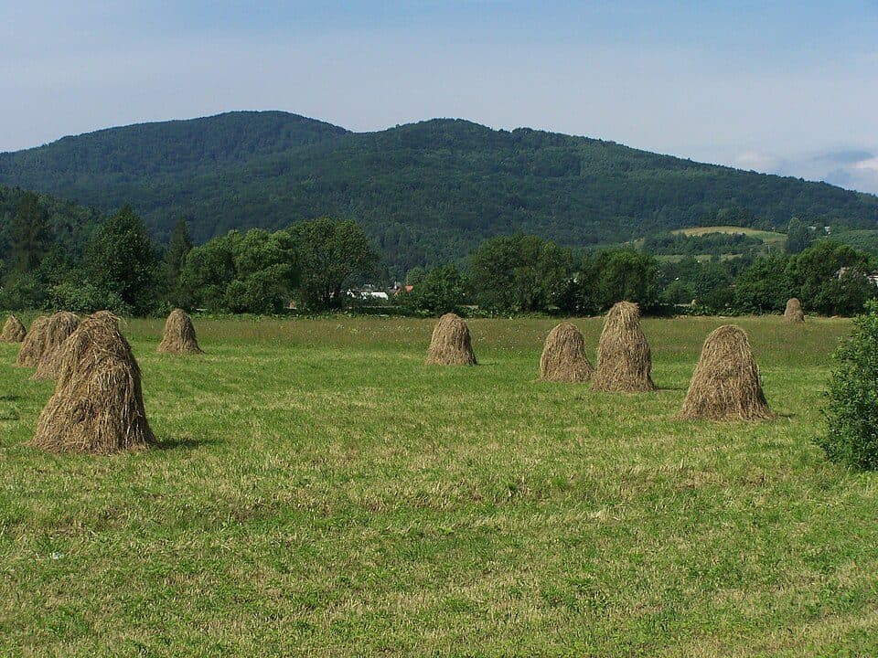 Grodzisko (Beskid Wyspowy)