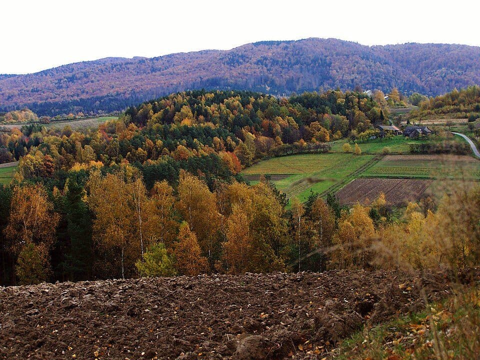 Rezerwat "Kamionna" - Kamionna rozdroże